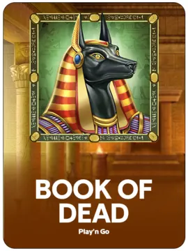 Book of Dead game artwork